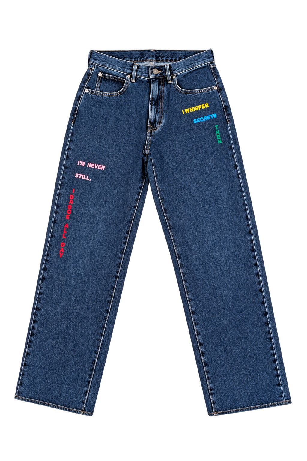 Riddle Embroidered Jean