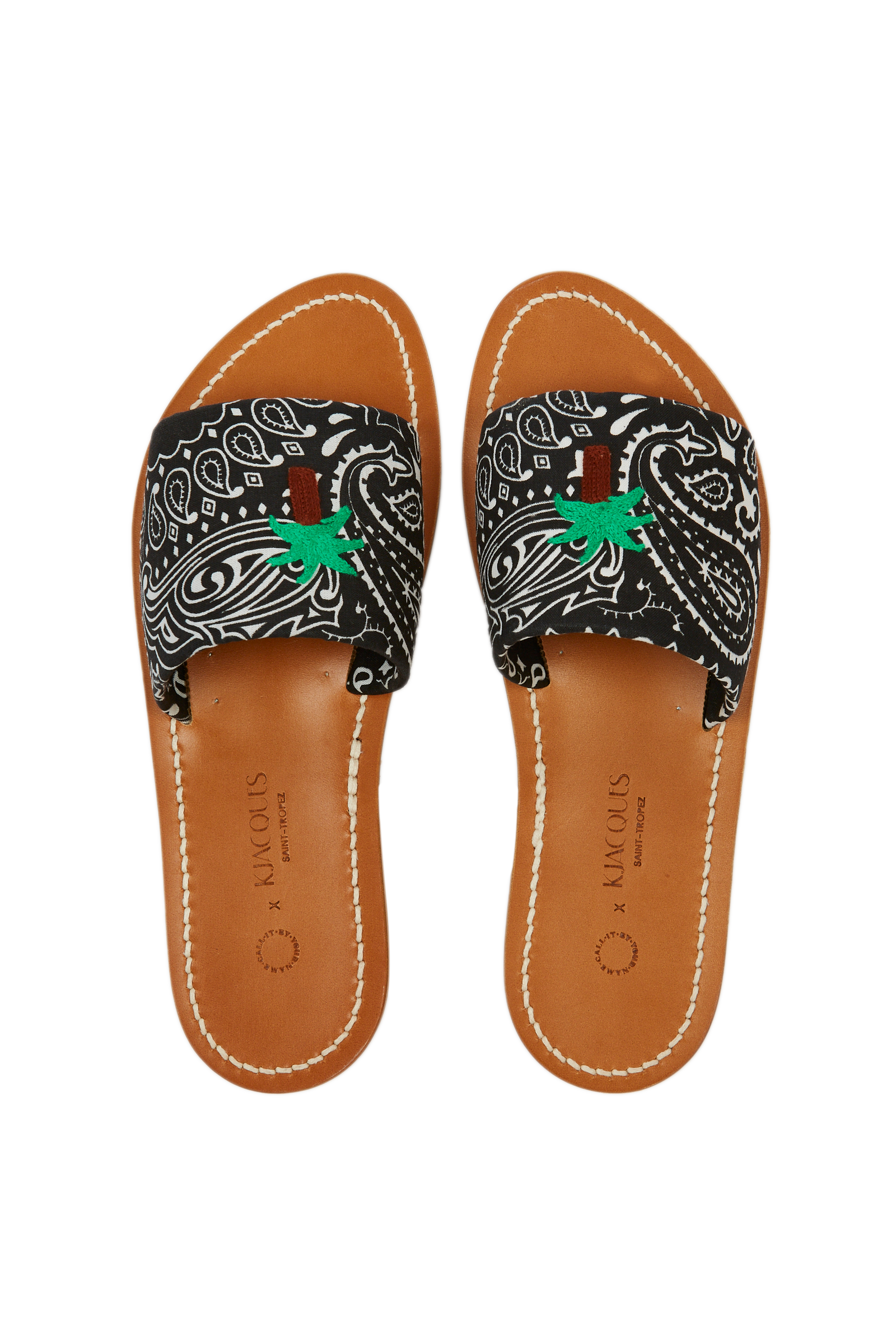 Palm Tree K.Jacques Slides